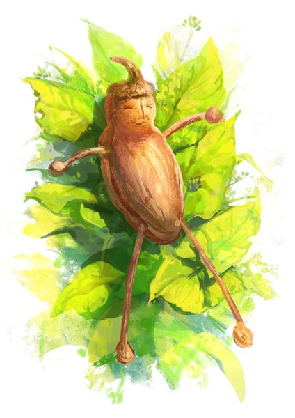 Иллюстрация