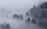 Обложка произведения Джоаль