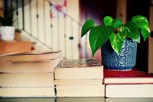 Обложка произведения Его Вера