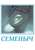 Обложка произведения Семеныч