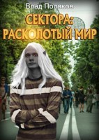 Обложка произведения Сектора: Расколотый мир