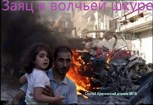 Обложка произведения Басня "Заяц в волчьей шкуре"