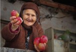 Обложка произведения Три носа... Или... С новым годом...