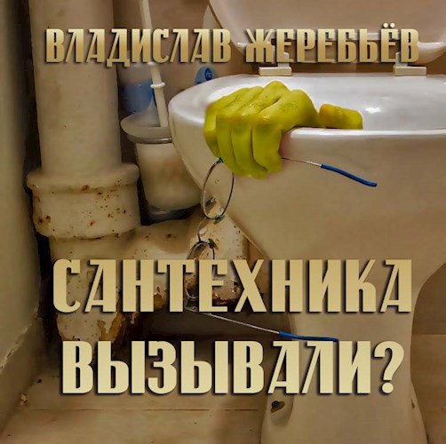 Обложка произведения Сантехника вызывали?