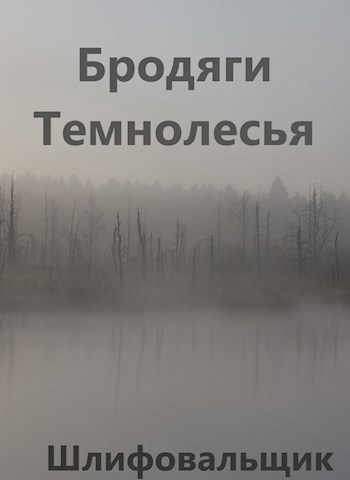 Обложка произведения Бродяги Темнолесья