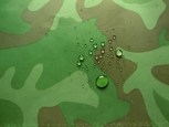 Обложка произведения Золотая кобра