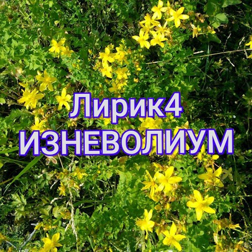 Обложка произведения Лирик4. Изневолиум