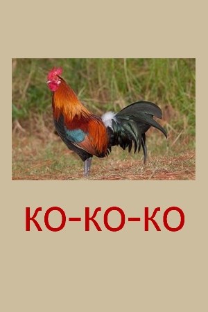 Обложка произведения Ко-ко-ко