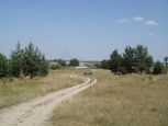 Обложка произведения Сенокос