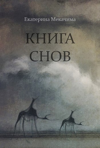 Книга снов. Екатерина Мекачима книги. Книга снов читать. Читать книгу сон онлайн. О природе снов книга.