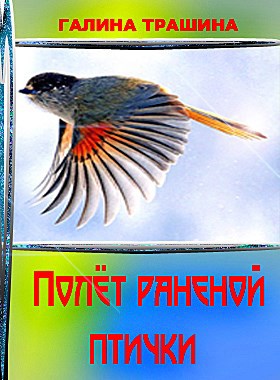 Обложка произведения Полёт раненой птички