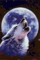 Обложка произведения Там, где живут "ушедшие" волки