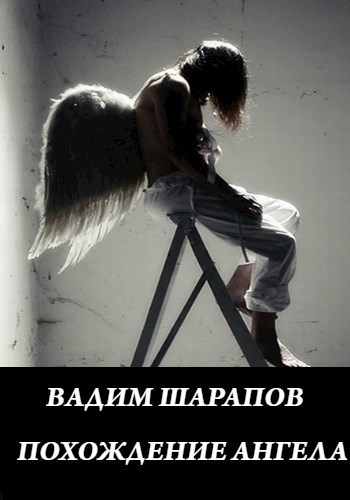 Обложка произведения ПОХОЖДЕНИЯ АНГЕЛА.