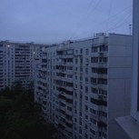 Обложка произведения Одиночеству кот — идеальный антипод