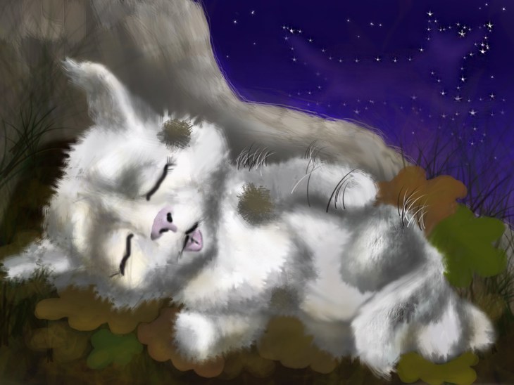 Иллюстрация