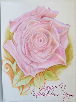 Обложка произведения Цвет его розы