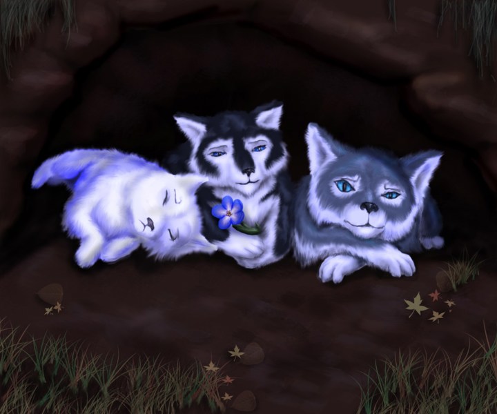 Иллюстрация