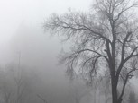Обложка произведения мир грёз