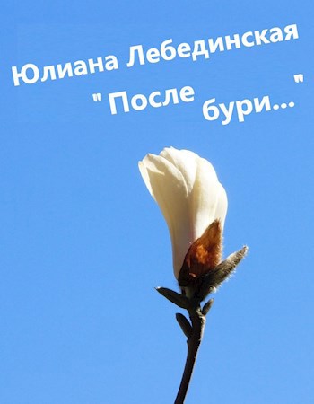 Обложка произведения После бури...
