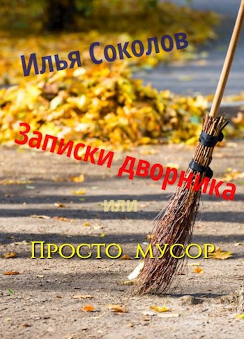 Обложка произведения Записки дворника, или Просто мусор