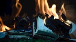 Обложка произведения Книга жизни