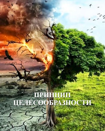 Обложка произведения Принцип целесообразности