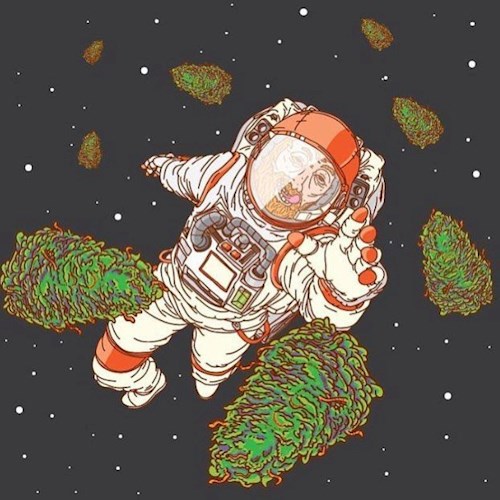 Обложка произведения Назад в космос