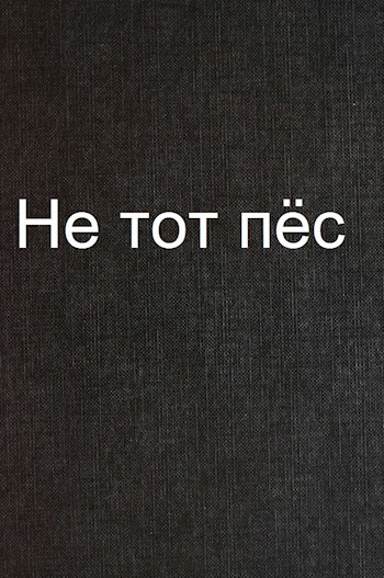 Обложка произведения Не тот пёс