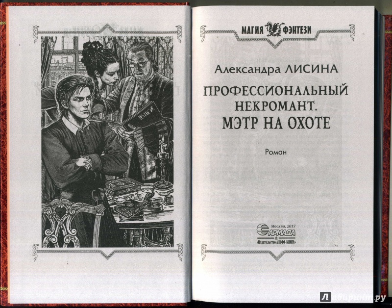 Лисина маг. Профессиональный некромант Мэтр на свободе. Мэтр Гираш некромант. Лисина Мэтр.