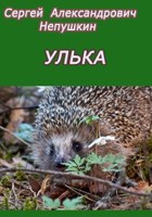 Обложка произведения Улька