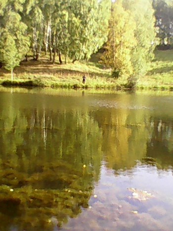 Обложка произведения АЛАЛИС
