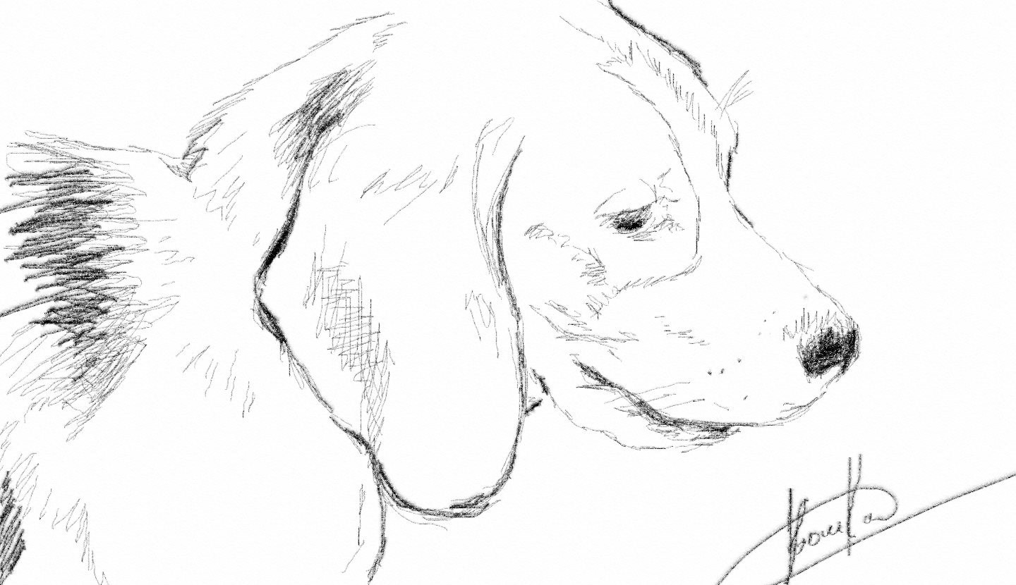 Нарисовать собаку Люси