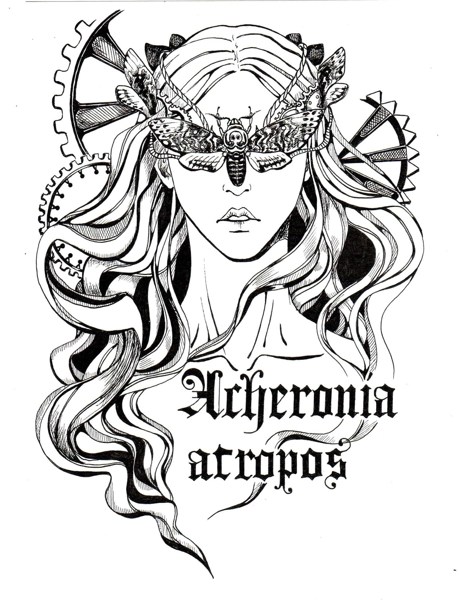 Иллюстрация