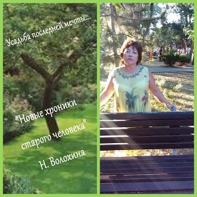 Обложка произведения Усадебные хроники