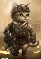 Обложка произведения Кот сталкер