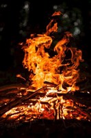 Обложка произведения I demon