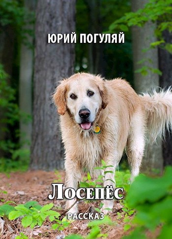 Обложка произведения Лосепёс