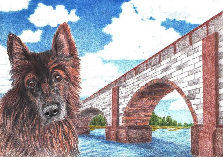 Иллюстрация