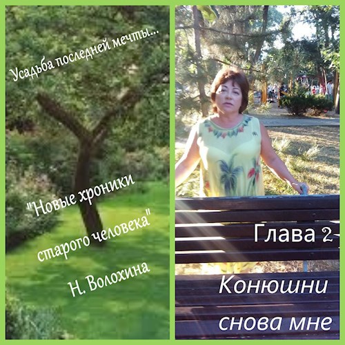 Обложка произведения Усадебные хроники. Продолжение. Гл. 2