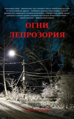 Dmitry Naumov «Ноча зимы»