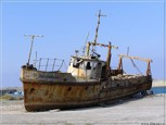 Обложка произведения Большой пушистый ( постапокалипсис)
