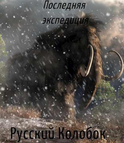 Обложка произведения Последняя экспедиция...