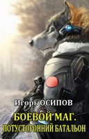 Обложка произведения Боевой маг -3: Потусторонний батальон