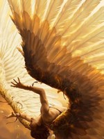 Обложка произведения Золотые крылья Икара