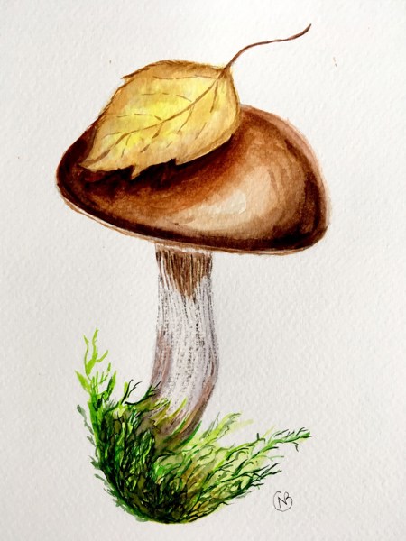 Иллюстрация