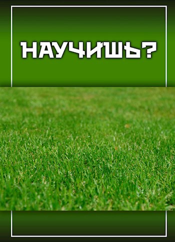 Обложка произведения Научишь?