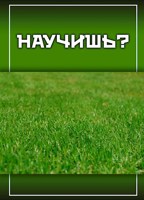 Обложка произведения Научишь?