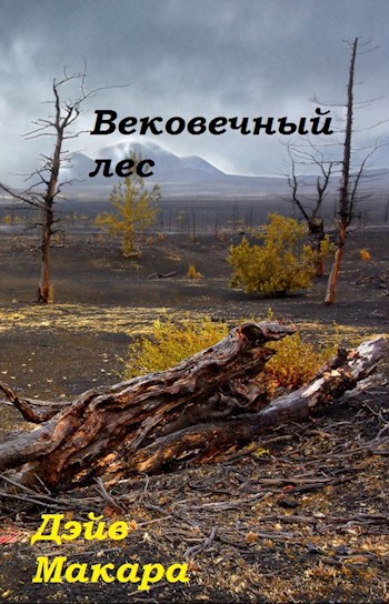 Обложка произведения Вековечный лес