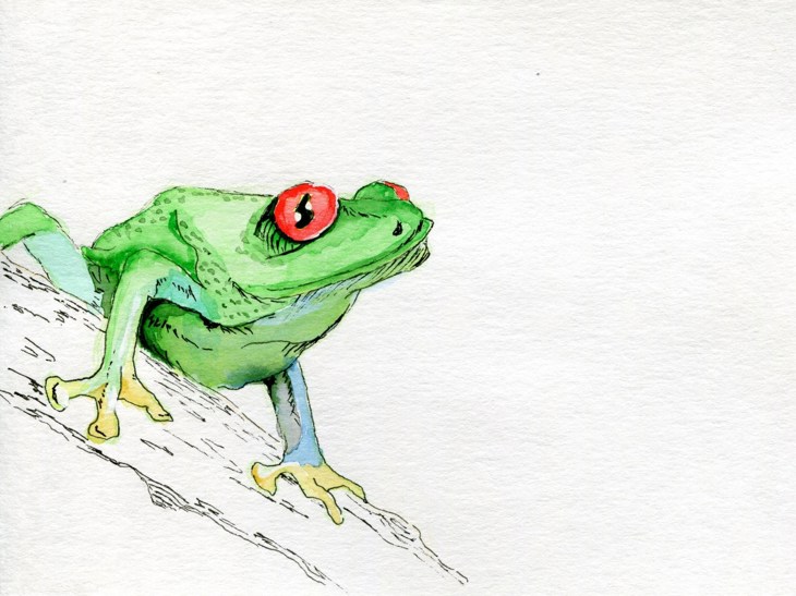 Иллюстрация