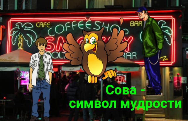 Обложка произведения Сова - символ мудрости